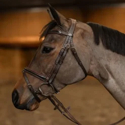 HFI MASTER Bridon cheval cuir vernis Painted -< Bridons