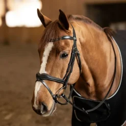 HFI MASTER Bridon cheval cuir Wavy -< Bridons
