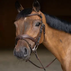 HFI MASTER Bridon cheval cuir Wavy -< Bridons