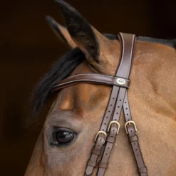 HFI MASTER Bridon cheval cuir Wavy -< Bridons