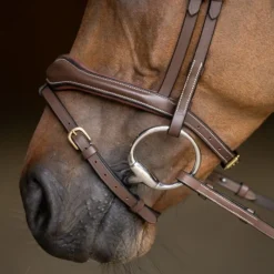 HFI MASTER Bridon cheval cuir Wavy -< Bridons