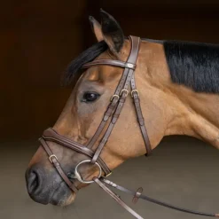 HFI MASTER Bridon cheval cuir Wavy -< Bridons