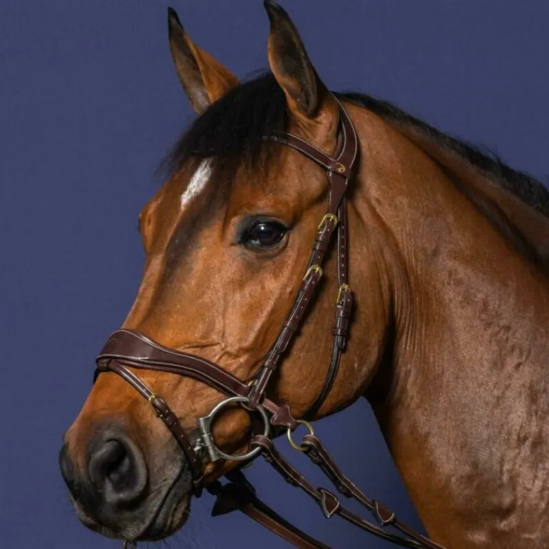 DYON Bridon cheval en cuir 3 en 1 D Motion D Collection - Dy'on< Bridons