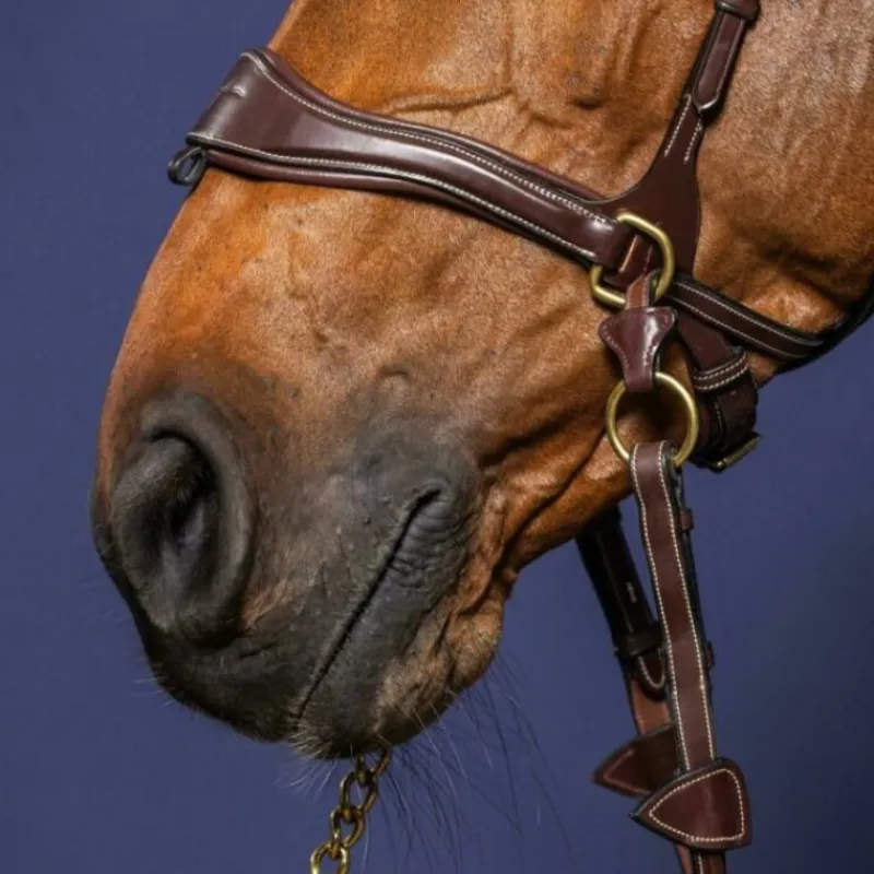 DYON Bridon cheval en cuir 3 en 1 D Motion D Collection - Dy'on< Bridons