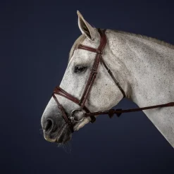 DYON Bridon cheval muserolle combinée anatomique New English Collection - Dy'on< Bridons
