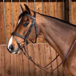 DYON Bridon cheval muserolle combinée Classique Working Collection - Dy'on< Bridons