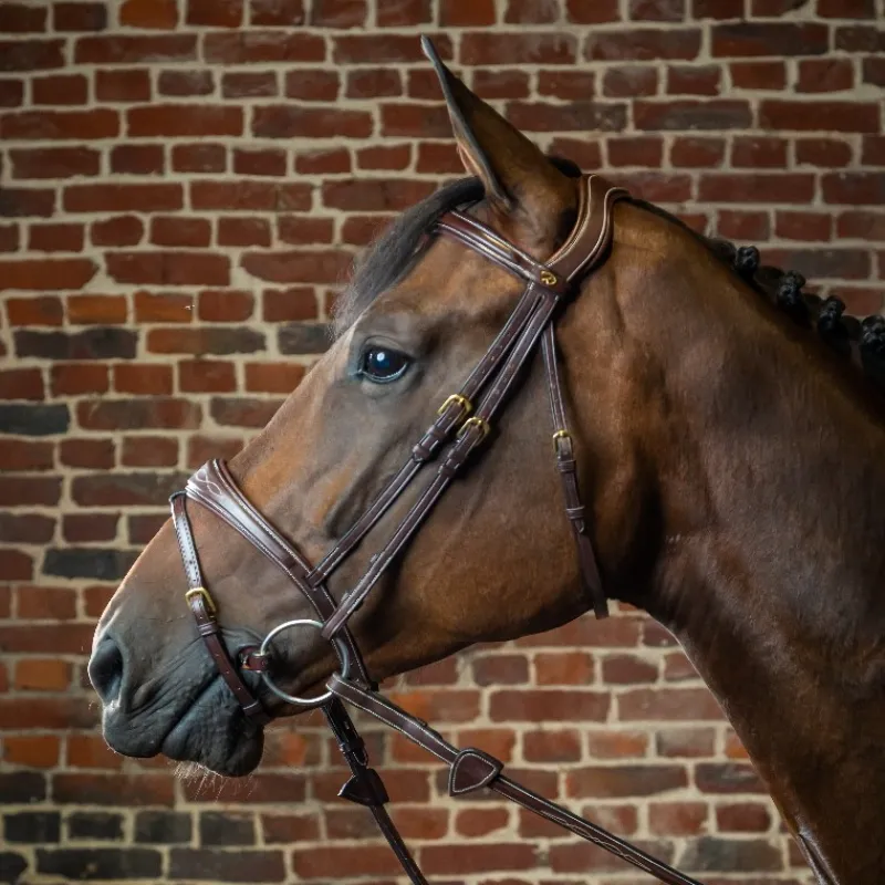 DYON Bridon cheval muserolle combinée anatomique D Collection - Dy'on< Idées Cadeaux|Bridons