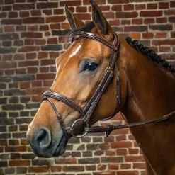 DYON Bridon cheval muserolle combinée D Collection - Dy'on< Bridons