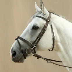 DYON Bridon cheval plat avec mousquetons Working Collection - Dy'on< Bridons