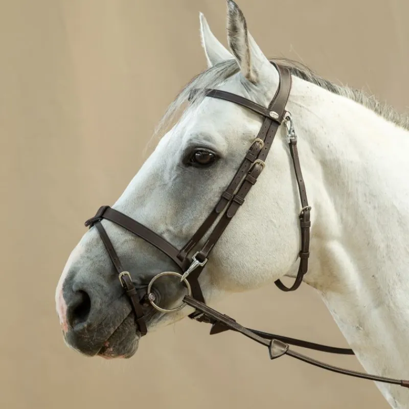 DYON Bridon cheval plat avec mousquetons Working Collection - Dy'on< Bridons