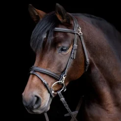 WALDHAUSEN Bridon cheval Work X-Line -< Bridons