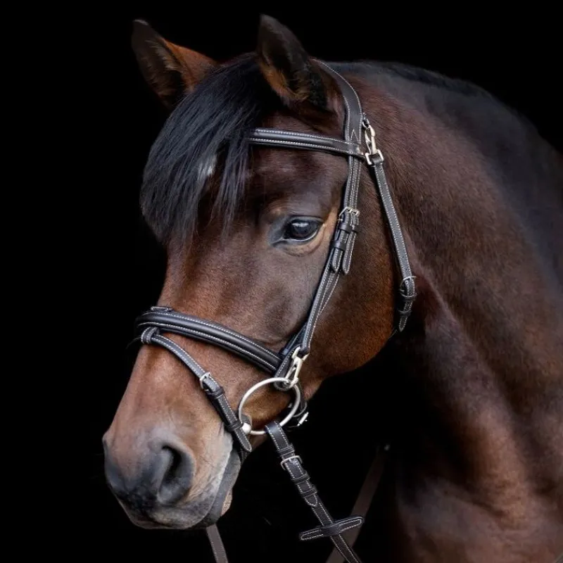 WALDHAUSEN Bridon cheval Work X-Line -< Bridons