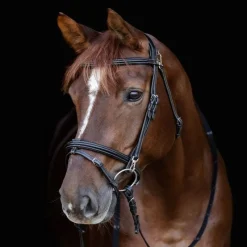 WALDHAUSEN Bridon cheval Work X-Line -< Bridons