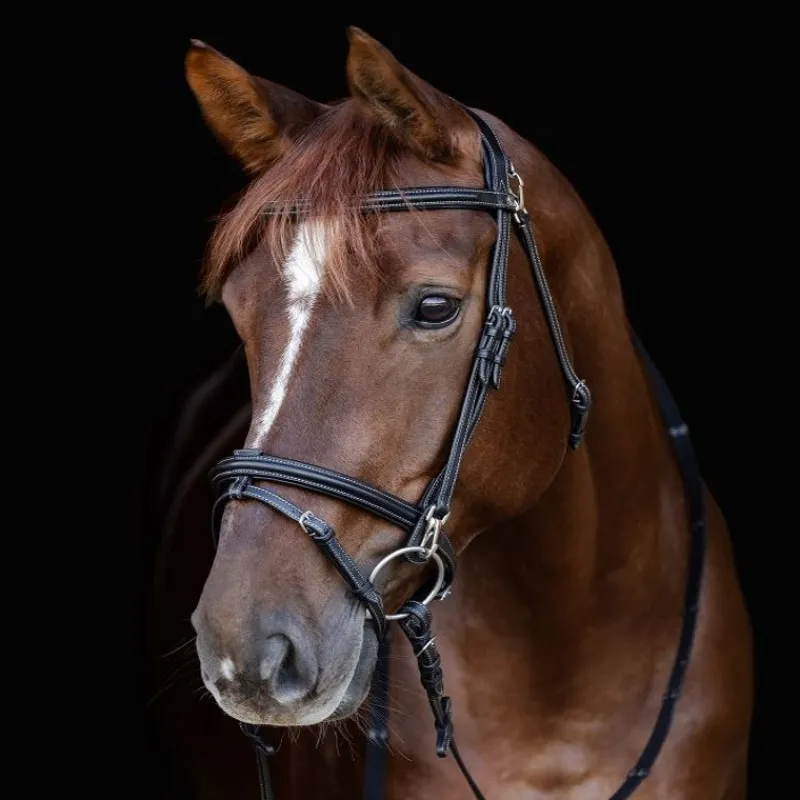 WALDHAUSEN Bridon cheval Work X-Line -< Bridons