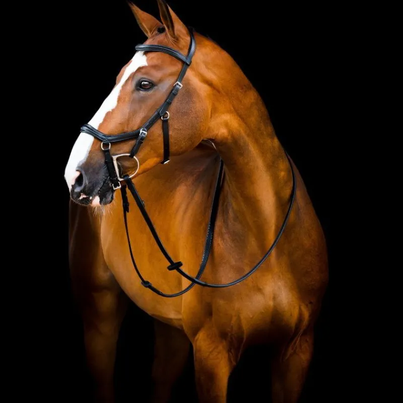 HORSEWARE Bridon cuir anatomique cheval Micklem Rambo Deluxe Competition -< Bridons