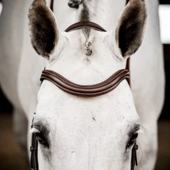 HORSEWARE Bridon cuir anatomique cheval Micklem Rambo Deluxe Competition -< Bridons