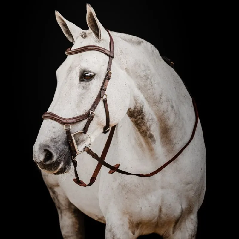 HORSEWARE Bridon cuir anatomique cheval Micklem Rambo Deluxe Competition -< Bridons