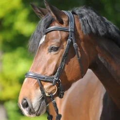 KAVALKADE Bridon cuir cheval Ivy Plus muserolle et tétière anatomique -< Bridons