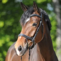 KAVALKADE Bridon cuir cheval Ivy Plus muserolle et tétière anatomique -< Bridons