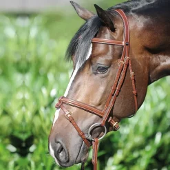 KAVALKADE Bridon cuir cheval Lorenz muserolle combinée -< Bridons
