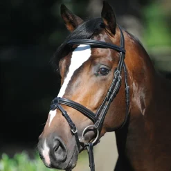 KAVALKADE Bridon cuir cheval Lorenz muserolle combinée -< Bridons