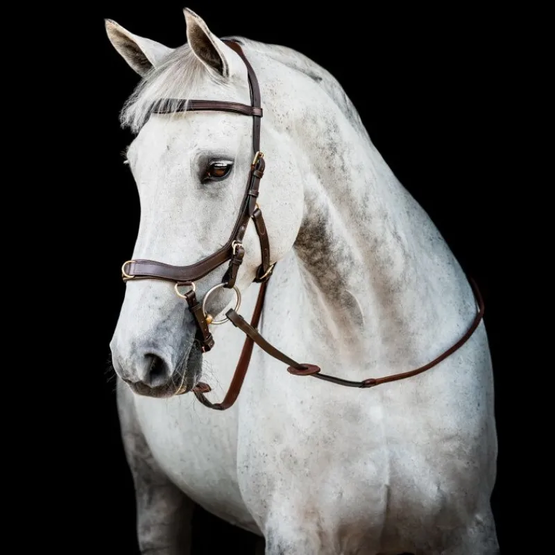 HORSEWARE Bridon cuir cheval Micklem 2 multi-bride -< Bridons