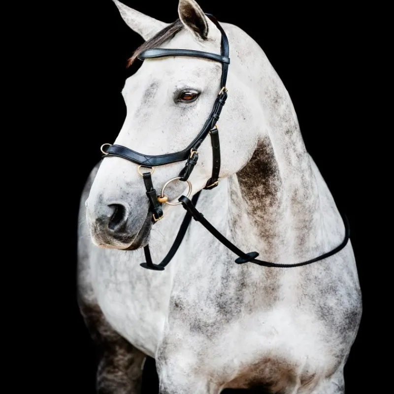 HORSEWARE Bridon cuir cheval Micklem 2 multi-bride -< Bridons