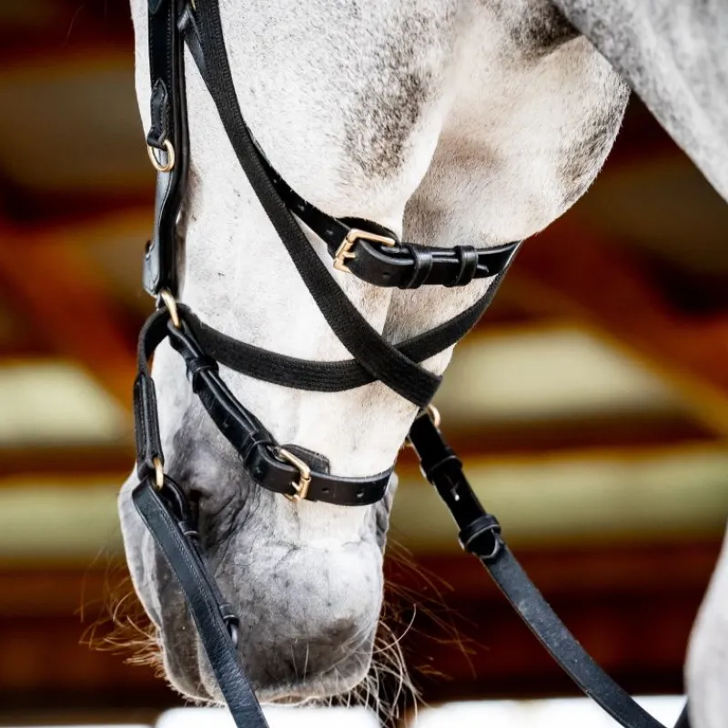 HORSEWARE Bridon cuir cheval Micklem 2 multi-bride -< Bridons