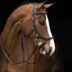 HORSEWARE Bridon cuir cheval Rambo Micklem Multi -< Bridons