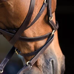 HORSEWARE Bridon cuir cheval Rambo Micklem Multi -< Bridons