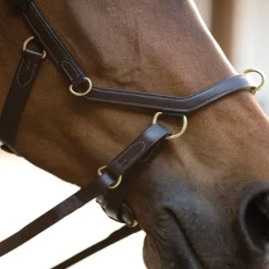 HORSEWARE Bridon cuir cheval Rambo Micklem Multi -< Bridons