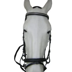 CAVALHORSE Bridon cuir muserolle combinée -< Bridons