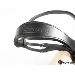 ANTARES Bridon cuir muserolle combinée large dressage Signature - Antarès< Bridons