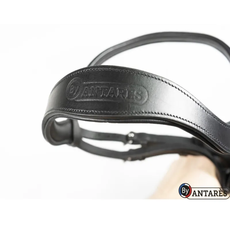 ANTARES Bridon cuir muserolle combinée large dressage Signature - Antarès< Bridons