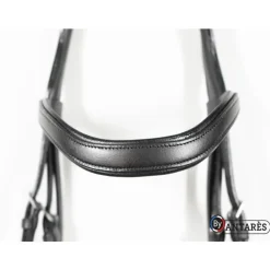 ANTARES Bridon cuir muserolle combinée large dressage Signature - Antarès< Bridons