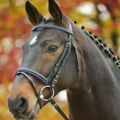 WALDHAUSEN Bridon cuir muserolle combinée Diamond -< Bridons