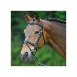 WALDHAUSEN Bridon cuir muserolle pull-back X-Line Alicante -< Bridons