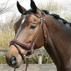 HARRY'S HORSE Bridon cuir rond muserolle pull-back -< Bridons