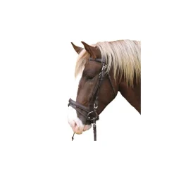 STABLE PRO Bridon muserolle combinée cheval de trait< Bridons