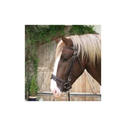 STABLE PRO Bridon muserolle combinée cheval de trait< Bridons