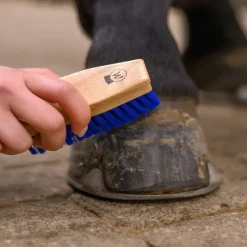 WALDHAUSEN Brosse à sabot cheval -< Cure Pied Sabot|Brosses Et Bouchons Cheval