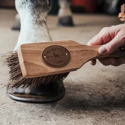 BORSTIQ Brosse à sabot cheval Islandaise -< Brosses Et Bouchons Cheval|Cure Pied Sabot