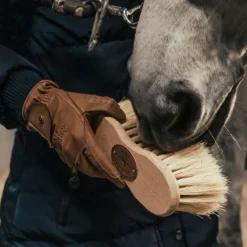BORSTIQ Brosse cheval Cactus/crins Infini -< Brosses Et Bouchons Cheval