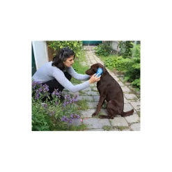 DEAR DOGGY Brosse chien Magic Brush< Soins Et Toilettage Chien
