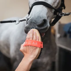 GEM Brosse douce cheval - Equitation< Brosses Et Bouchons Cheval