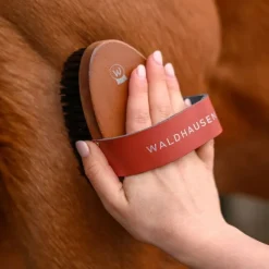 WALDHAUSEN Brosse douce cheval poils courts Hard Wood -< Brosses Et Bouchons Cheval