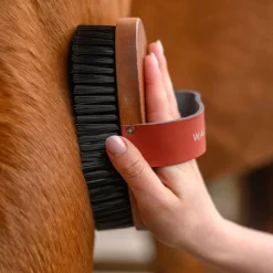WALDHAUSEN Brosse douce cheval poils courts Hard Wood -< Brosses Et Bouchons Cheval