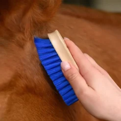 WALDHAUSEN Brosse douce tête cheval -< Brosses Et Bouchons Cheval