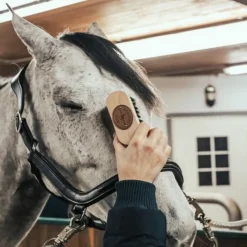 BORSTIQ Brosse tête cheval bois de hêtre -< Brosses Et Bouchons Cheval