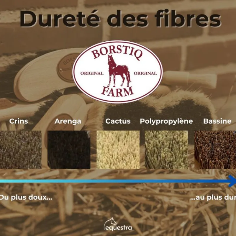 BORSTIQ Brosse tête cheval bois de hêtre -< Brosses Et Bouchons Cheval